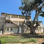 Carpediem-corsica Bravone Apartman Linguizzetta