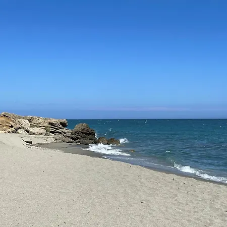 Carpediem-corsica Bravone Apartman *