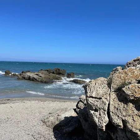 Carpediem-corsica Bravone Linguizzetta