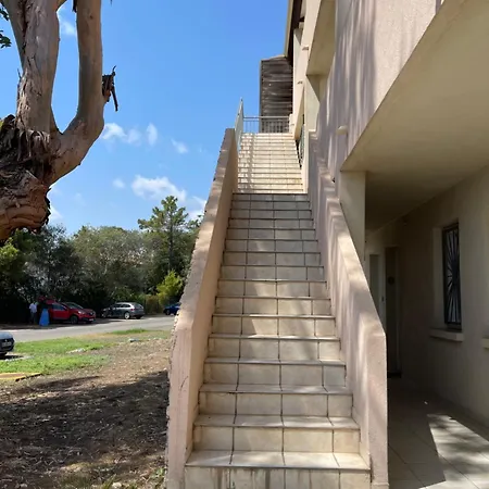 Carpediem-corsica Bravone Appartement Linguizzetta