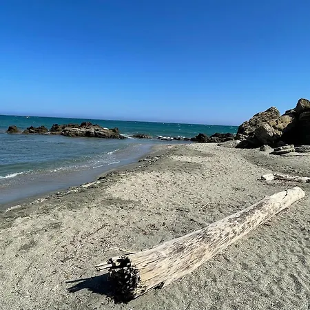 Carpediem-corsica Bravone Linguizzetta