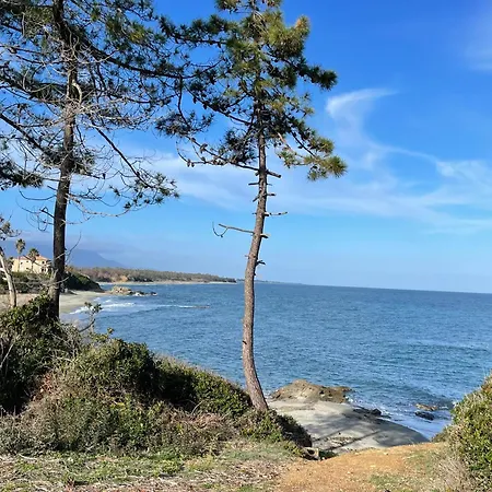 Carpediem-corsica Bravone * Linguizzetta
