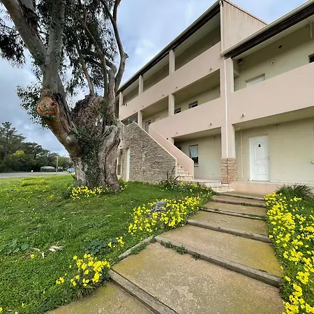 Carpediem-corsica Bravone * Linguizzetta