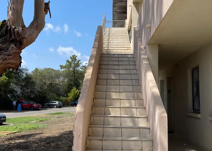 Carpediem-corsica Bravone Apartamento Linguizzetta