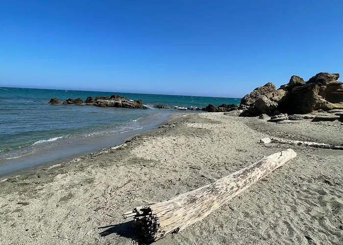 Carpediem-corsica Bravone Linguizzetta