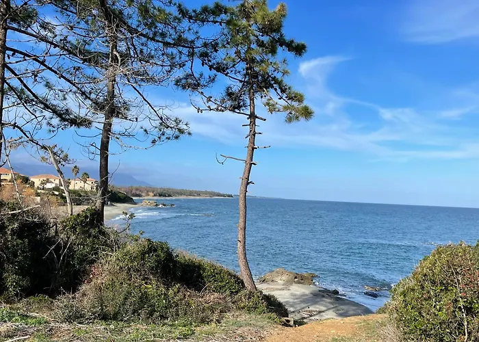 Carpediem-corsica Bravone * Linguizzetta