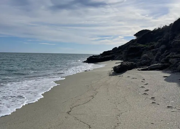 Carpediem-corsica Bravone Apartamento